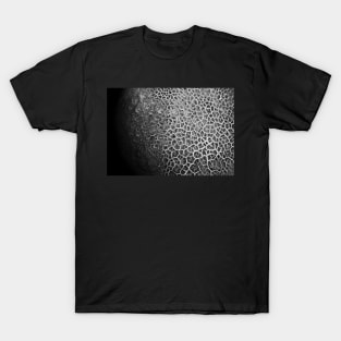 "Global Network" (Mushroom Cap) T-Shirt